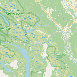 NE map tile