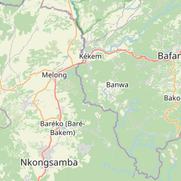 NE map tile