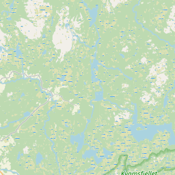 NE map tile