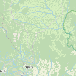NE map tile