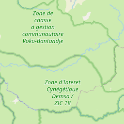 NE map tile