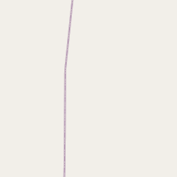 NE map tile