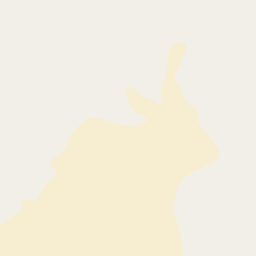 NE map tile