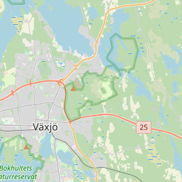 NE map tile
