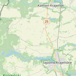NE map tile