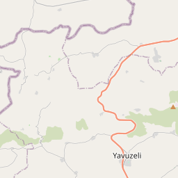 NE map tile