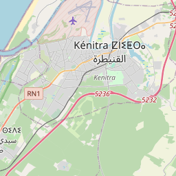 NE map tile