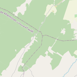 NE map tile