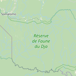 NE map tile